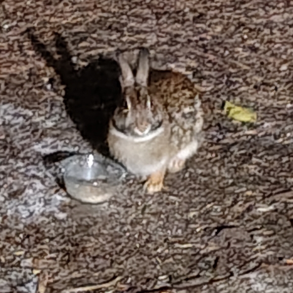 Clothing, Accessories And HomeGoods - Picture 4 of 4